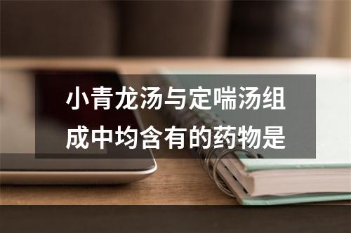 小青龙汤与定喘汤组成中均含有的药物是