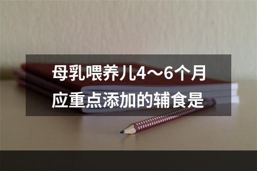 母乳喂养儿4～6个月应重点添加的辅食是