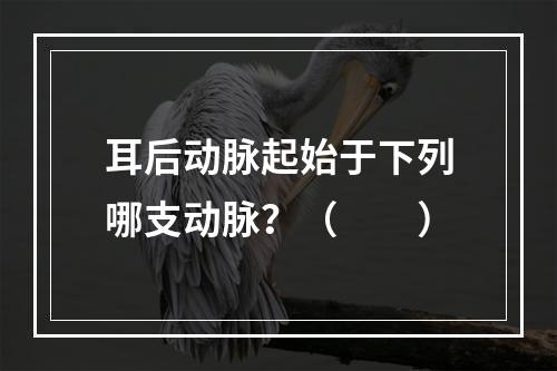 耳后动脉起始于下列哪支动脉？（　　）