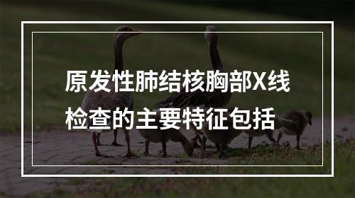 原发性肺结核胸部X线检查的主要特征包括