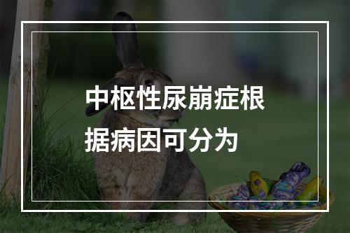 中枢性尿崩症根据病因可分为