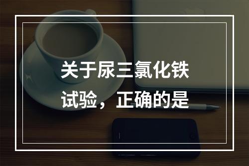 关于尿三氯化铁试验，正确的是