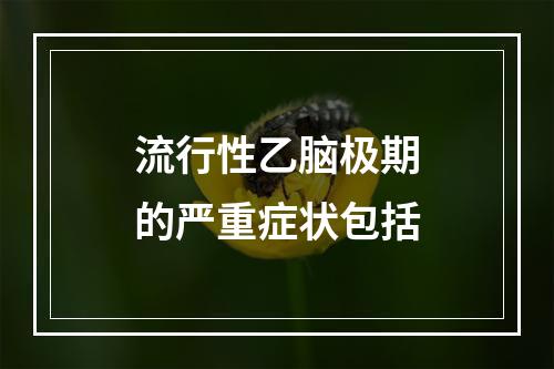 流行性乙脑极期的严重症状包括