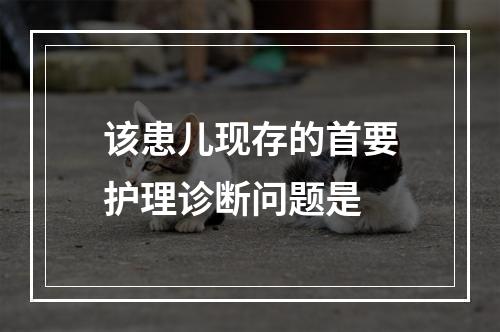 该患儿现存的首要护理诊断问题是