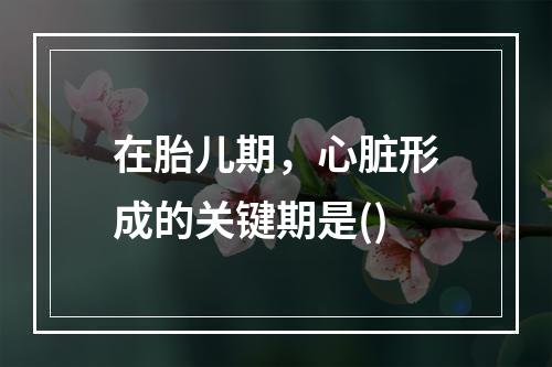 在胎儿期，心脏形成的关键期是()