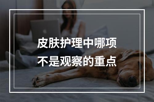 皮肤护理中哪项不是观察的重点