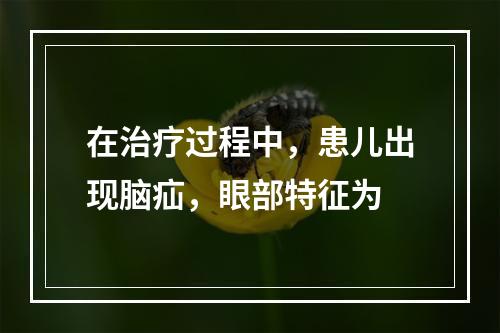 在治疗过程中，患儿出现脑疝，眼部特征为