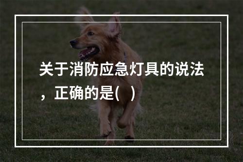 关于消防应急灯具的说法，正确的是(   )