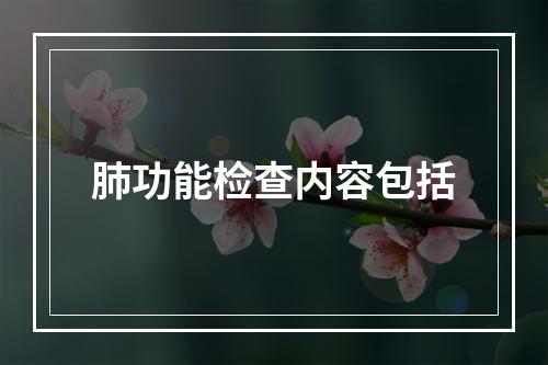 肺功能检查内容包括