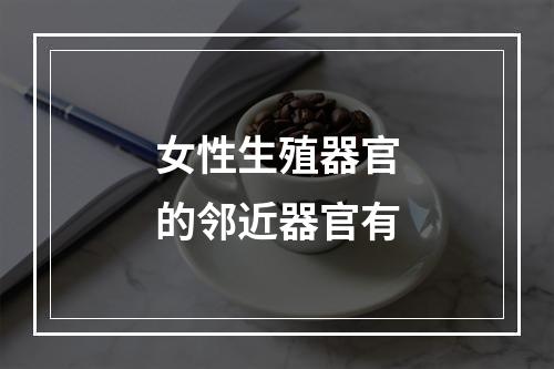 女性生殖器官的邻近器官有