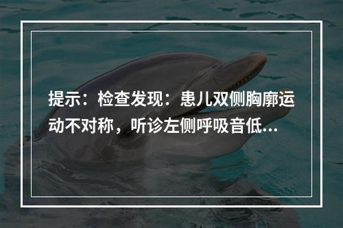 提示：检查发现：患儿双侧胸廓运动不对称，听诊左侧呼吸音低，心