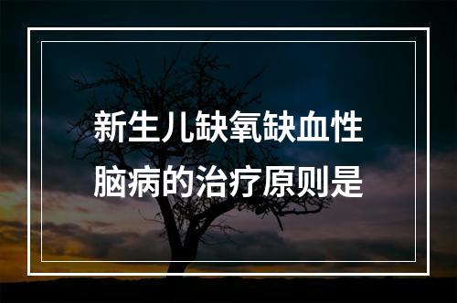 新生儿缺氧缺血性脑病的治疗原则是