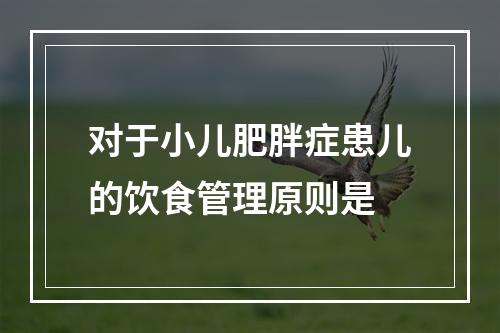 对于小儿肥胖症患儿的饮食管理原则是