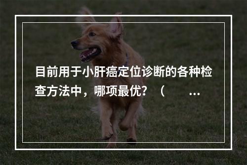 目前用于小肝癌定位诊断的各种检查方法中，哪项最优？（　　）