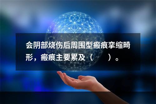 会阴部烧伤后周围型瘢痕挛缩畸形，瘢痕主要累及（　　）。