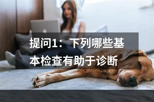 提问1：下列哪些基本检查有助于诊断