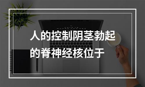 人的控制阴茎勃起的脊神经核位于