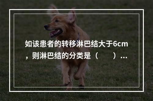 如该患者的转移淋巴结大于6cm，则淋巴结的分类是（　　）。