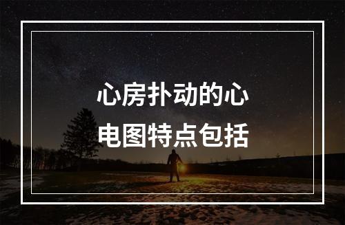 心房扑动的心电图特点包括