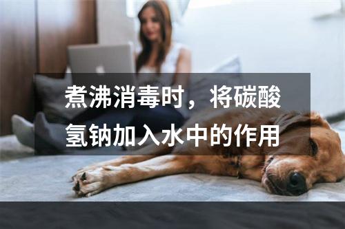 煮沸消毒时，将碳酸氢钠加入水中的作用