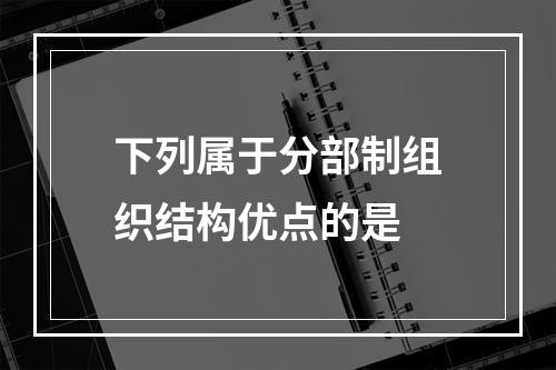 下列属于分部制组织结构优点的是