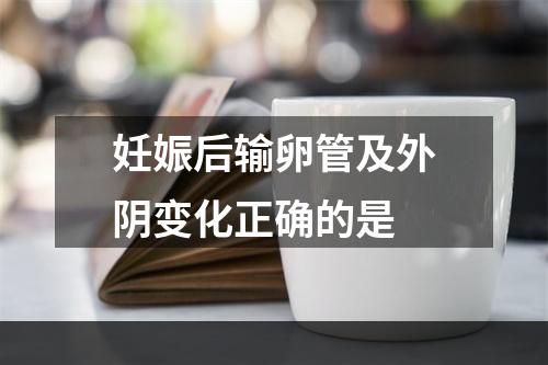 妊娠后输卵管及外阴变化正确的是