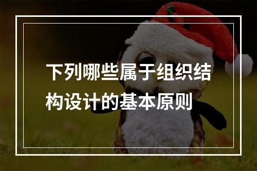 下列哪些属于组织结构设计的基本原则