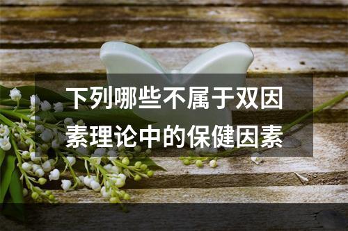 下列哪些不属于双因素理论中的保健因素