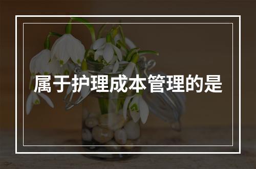 属于护理成本管理的是