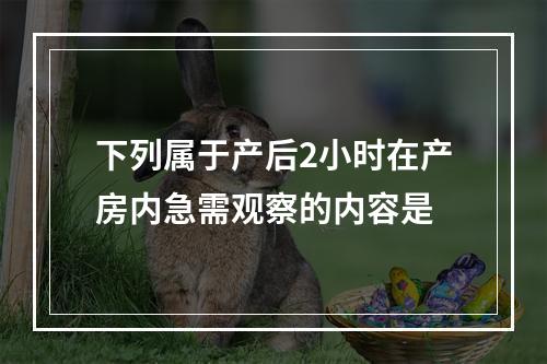 下列属于产后2小时在产房内急需观察的内容是