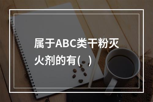 属于ABC类干粉灭火剂的有(   )