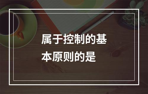 属于控制的基本原则的是