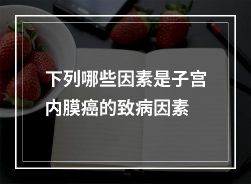 下列哪些因素是子宫内膜癌的致病因素