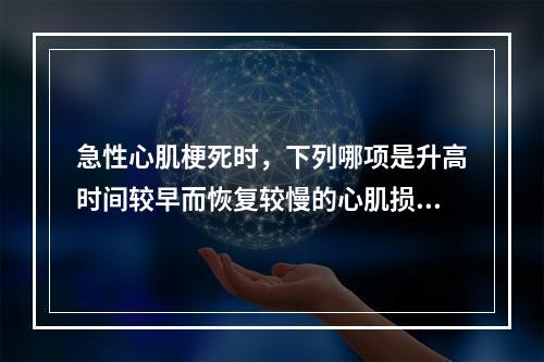 急性心肌梗死时，下列哪项是升高时间较早而恢复较慢的心肌损伤