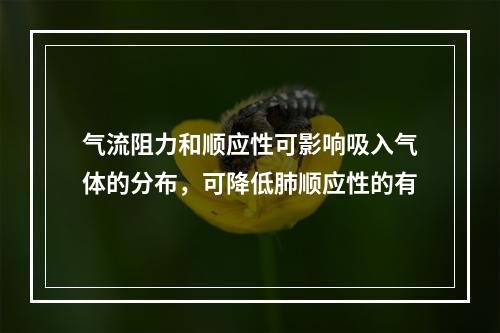 气流阻力和顺应性可影响吸入气体的分布，可降低肺顺应性的有