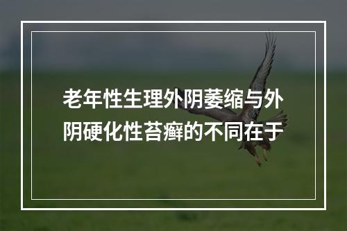 老年性生理外阴萎缩与外阴硬化性苔癣的不同在于