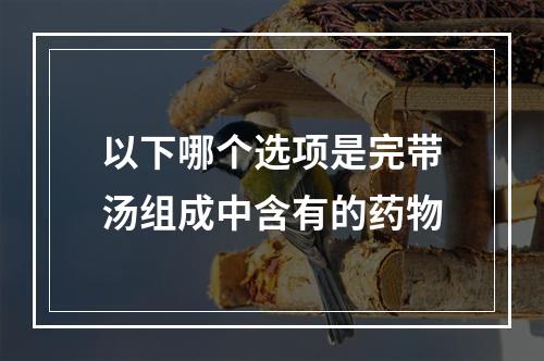 以下哪个选项是完带汤组成中含有的药物