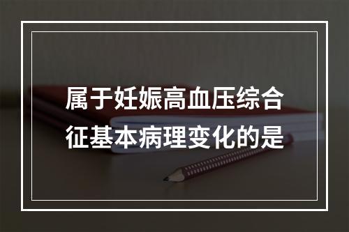 属于妊娠高血压综合征基本病理变化的是