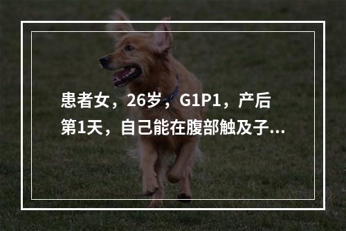 患者女，26岁，G1P1，产后第1天，自己能在腹部触及子宫，