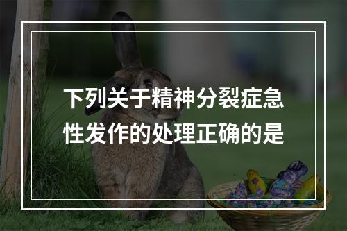 下列关于精神分裂症急性发作的处理正确的是