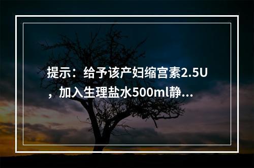 提示：给予该产妇缩宫素2.5U，加入生理盐水500ml静脉滴