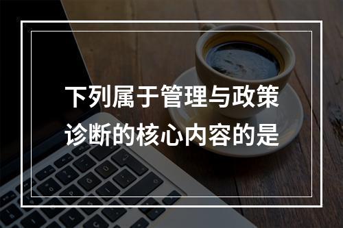 下列属于管理与政策诊断的核心内容的是