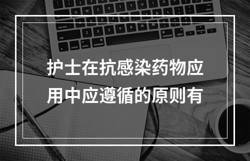 护士在抗感染药物应用中应遵循的原则有