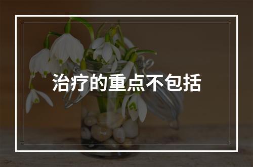 治疗的重点不包括