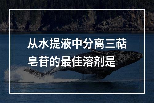 从水提液中分离三萜皂苷的最佳溶剂是