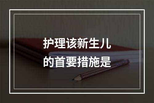 护理该新生儿的首要措施是