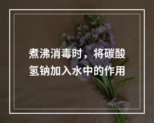 煮沸消毒时，将碳酸氢钠加入水中的作用