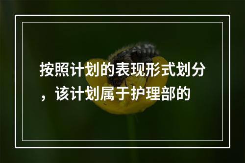 按照计划的表现形式划分，该计划属于护理部的