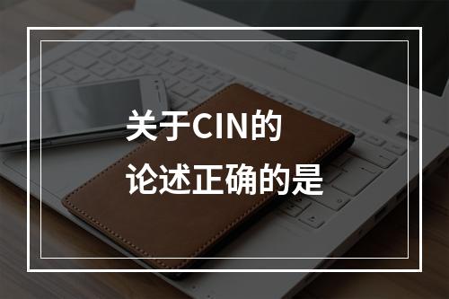 关于CIN的论述正确的是