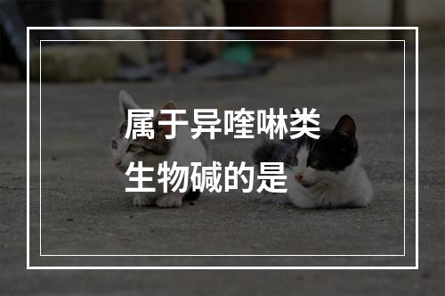 属于异喹啉类生物碱的是